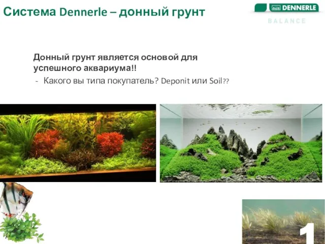 Система Dennerle – донный грунт / / Донный грунт является основой