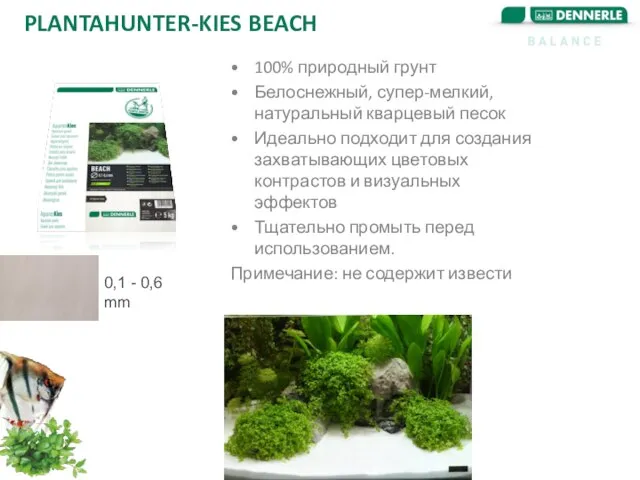 PLANTAHUNTER-KIES BEACH 100% природный грунт Белоснежный, супер-мелкий, натуральный кварцевый песок Идеально