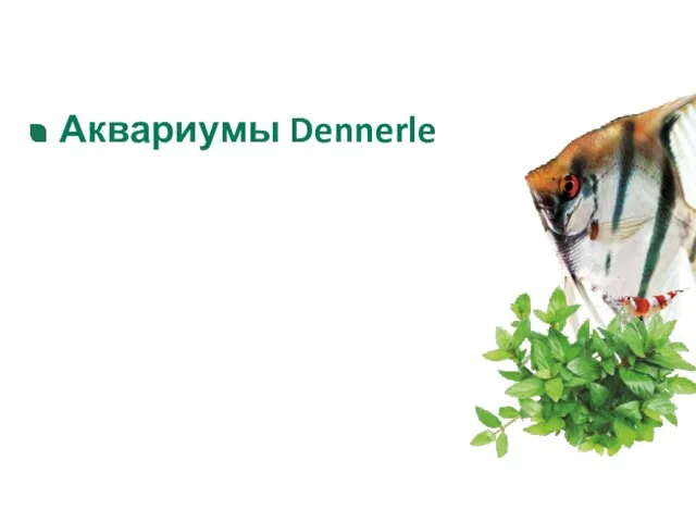 Аквариумы Dennerle