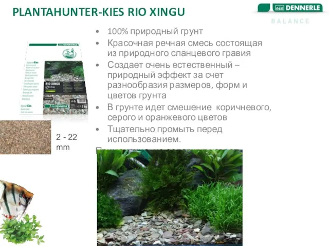 PLANTAHUNTER-KIES RIO XINGU 100% природный грунт Красочная речная смесь состоящая из