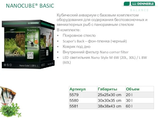 NANOCUBE® BASIC Кубический аквариум с базовым комплектом оборудования для содержания беспозвоночных