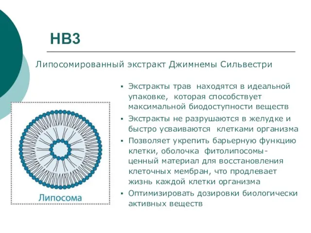 НВ3 Липосомированный экстракт Джимнемы Сильвестри Экстракты трав находятся в идеальной упаковке,