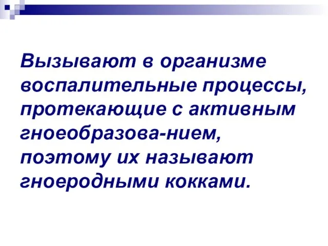 Вызывают в организме воспалительные процессы, протекающие с активным гноеобразова-нием, поэтому их называют гноеродными кокками.