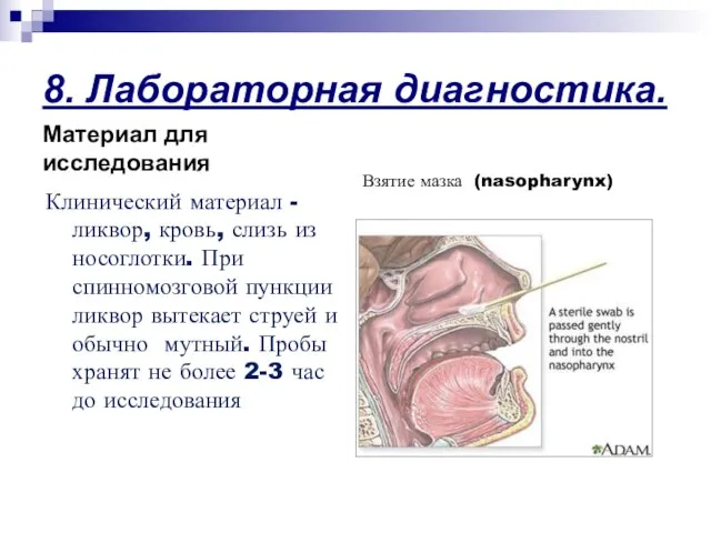 8. Лабораторная диагностика. Материал для исследования Клинический материал - ликвор, кровь,