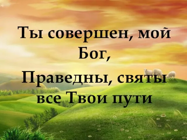 Ты совершен, мой Бог, Праведны, святы все Твои пути