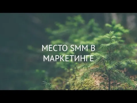 МЕСТО SMM В МАРКЕТИНГЕ