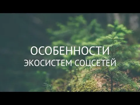 ОСОБЕННОСТИ ЭКОСИСТЕМ СОЦСЕТЕЙ