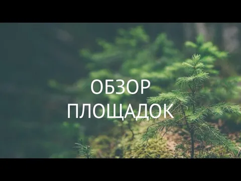 ОБЗОР ПЛОЩАДОК