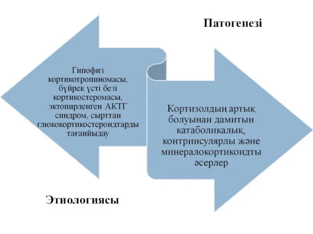 Этиологиясы Патогенезі