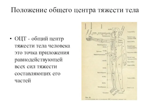 Положение общего центра тяжести тела ОЦТ - общий центр тяжести тела