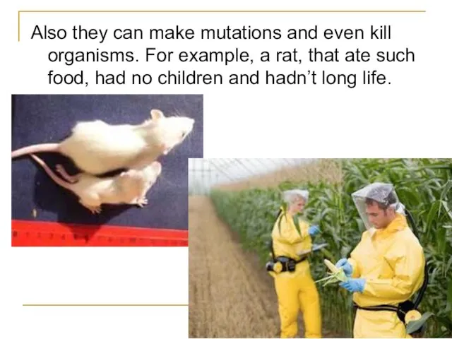 Also they can make mutations and even kill organisms. For example,