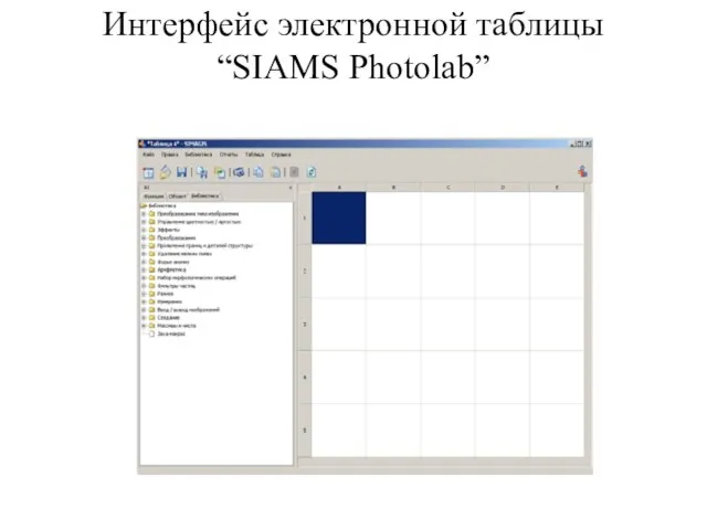 Интерфейс электронной таблицы “SIAMS Photolab”