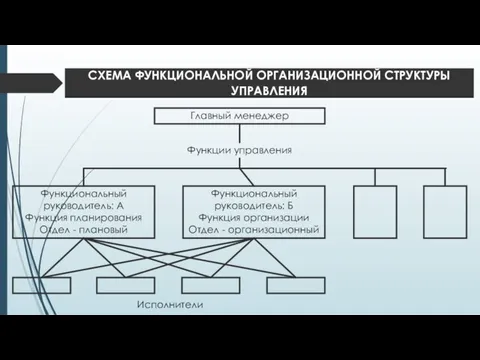 Главный менеджер Функциональный руководитель: А Функция планирования Отдел - плановый Функциональный