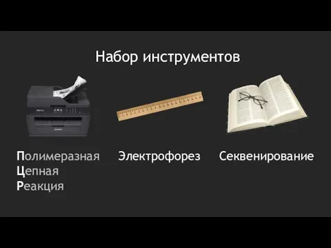 Набор инструментов Полимеразная Цепная Реакция Электрофорез Секвенирование