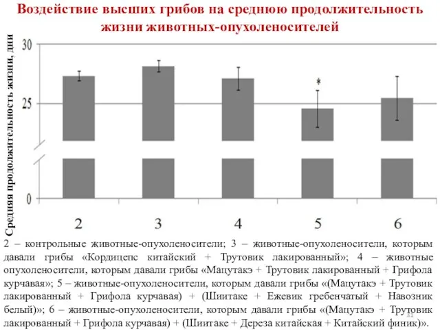 Воздействие высших грибов на среднюю продолжительность жизни животных-опухоленосителей 2 – контрольные