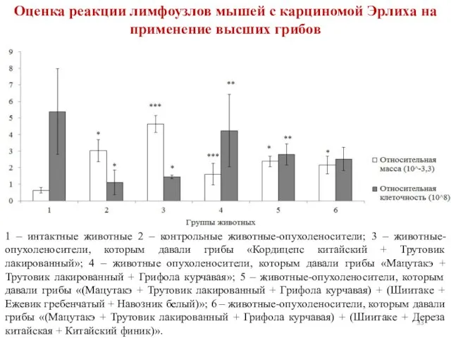 Оценка реакции лимфоузлов мышей с карциномой Эрлиха на применение высших грибов