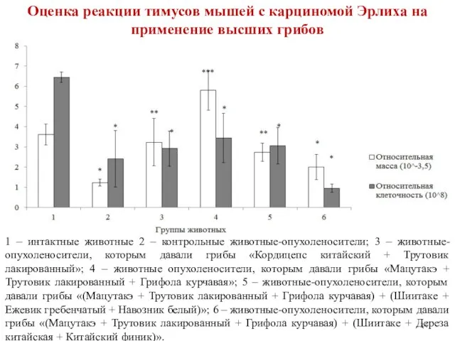 Оценка реакции тимусов мышей с карциномой Эрлиха на применение высших грибов