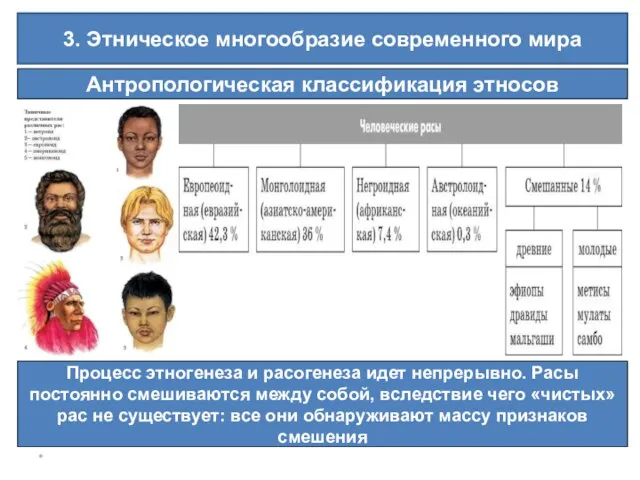 * 3. Этническое многообразие современного мира Антропологическая классификация этносов Процесс этногенеза