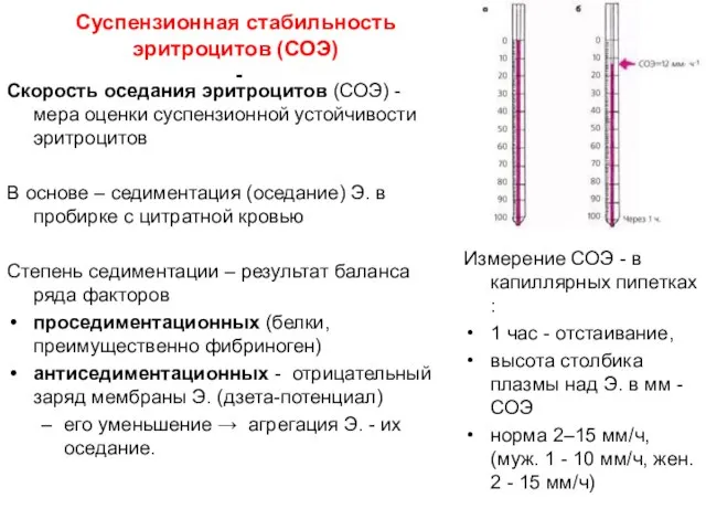 Суспензионная стабильность эритроцитов (СОЭ) - Скорость оседания эритроцитов (СОЭ) - мера