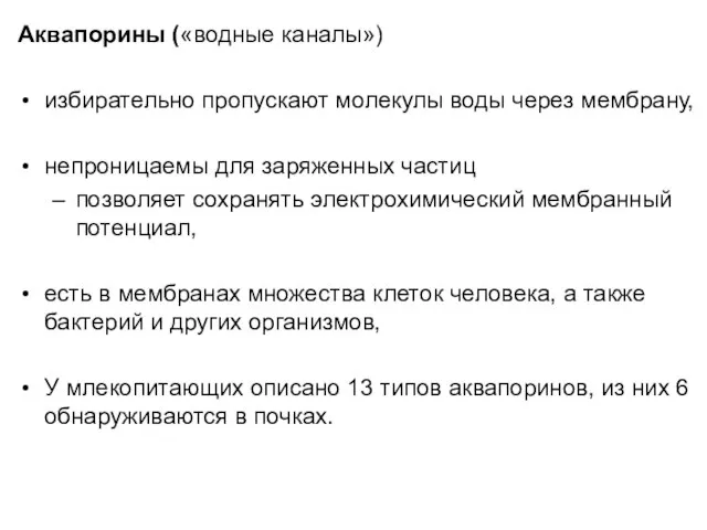 Аквапорины («водные каналы») избирательно пропускают молекулы воды через мембрану, непроницаемы для