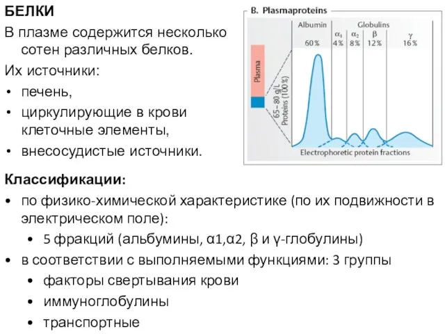 БЕЛКИ В плазме содержится несколько сотен различных белков. Их источники: печень,