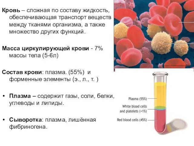 Кровь – сложная по составу жидкость, обеспечивающая транспорт веществ между тканями