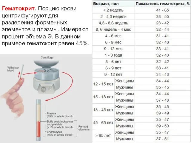 Гематокрит. Порцию крови центрифугируют для разделения форменных элементов и плазмы. Измеряют