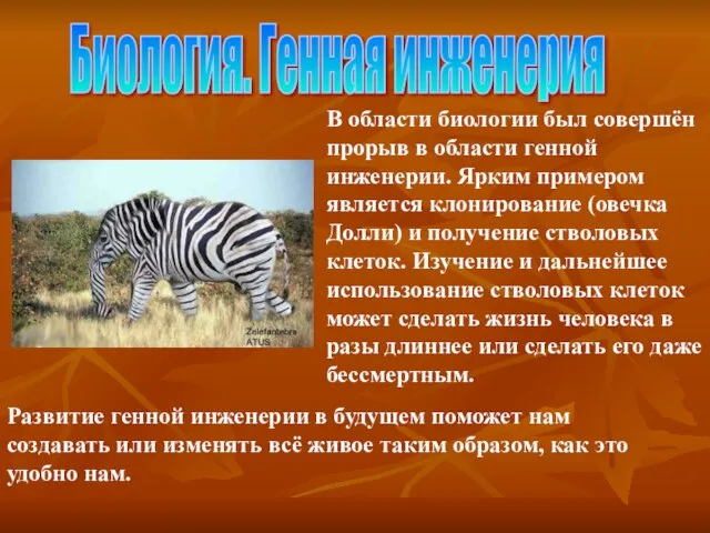 Биология. Генная инженерия В области биологии был совершён прорыв в области