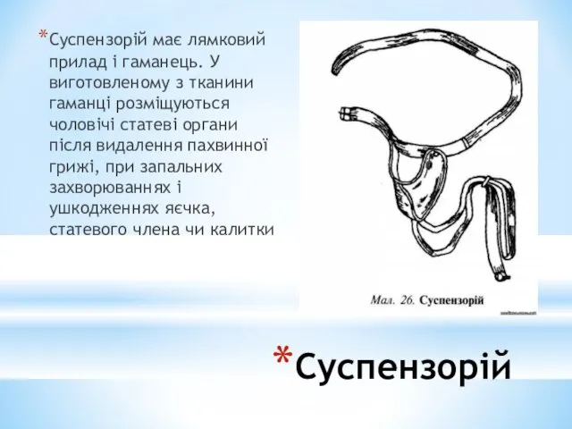 Суспензорій Суспензорій має лямковий прилад і гаманець. У виготовленому з тканини