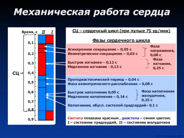 Механическая работа сердца