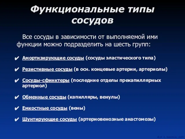 Функциональные типы сосудов Все сосуды в зависимости от выполняемой ими функции