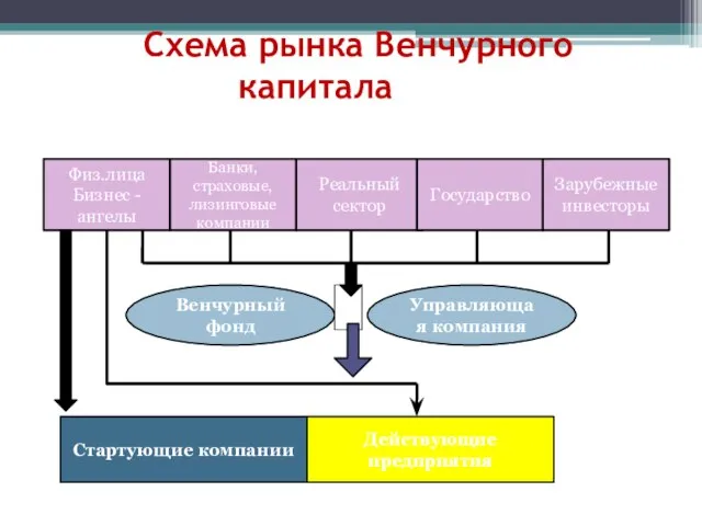 Схема рынка Венчурного капитала Физ.лица Бизнес - ангелы Банки, страховые, лизинговые