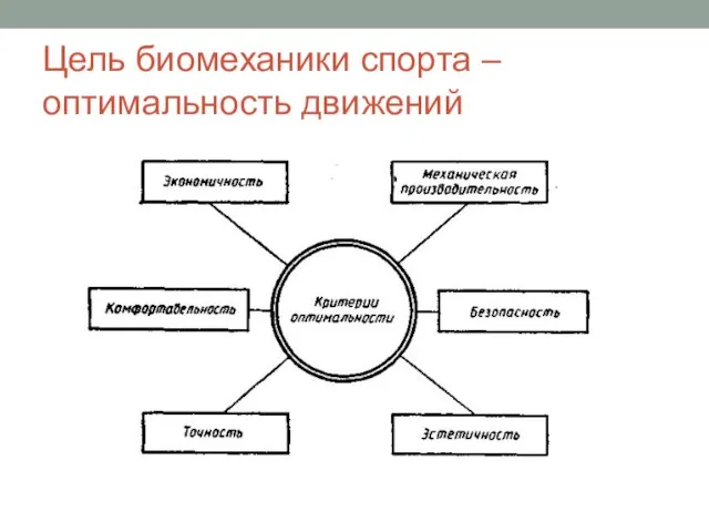 Цель биомеханики спорта – оптимальность движений