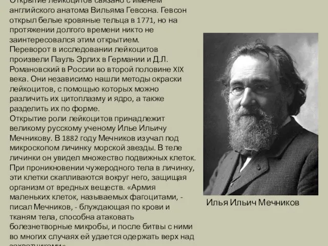 Открытие лейкоцитов связано с именем английского анатома Вильяма Гевсона. Гевсон открыл