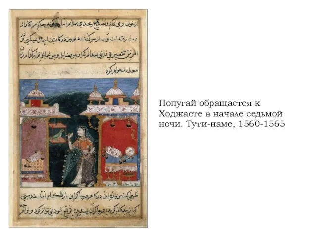 Попугай обращается к Ходжасте в начале седьмой ночи. Тути-наме, 1560-1565