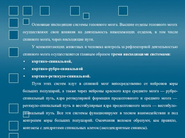 Основные нисходящие системы головного мозга. Высшие отделы головного мозга осуществляют свои