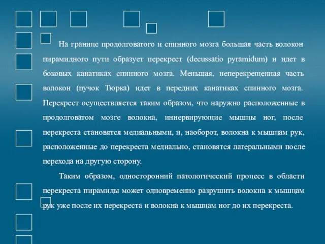 На границе продолговатого и спинного мозга большая часть волокон пирамидного пути