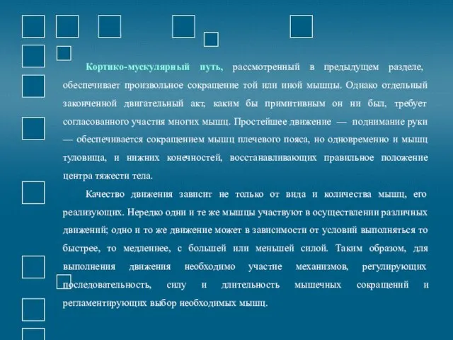 Кортико-мускулярный путь, рассмотренный в предыдущем разделе, обеспечивает произвольное сокращение той или