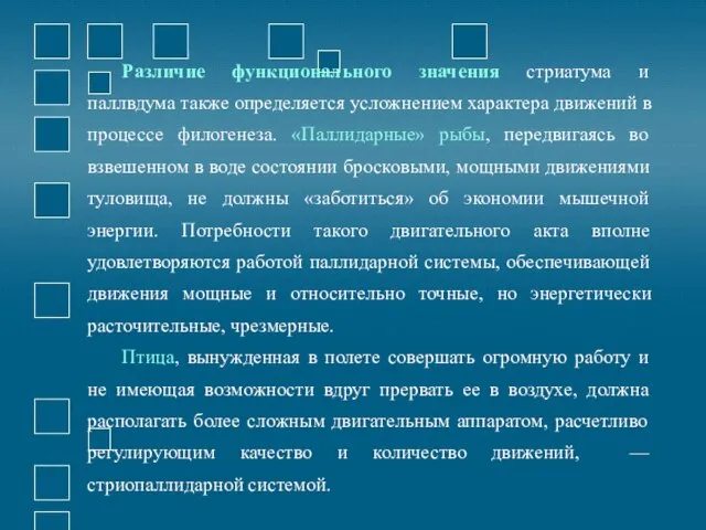 Различие функционального значения стриатума и паллвдума также определяется усложнением характера движений