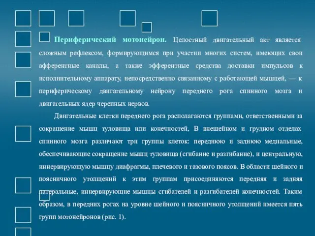 Периферический мотонейрон. Целостный двигательный акт является сложным рефлексом, формирующимся при участии