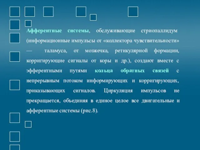 Афферентные системы, обслуживающие стриопаллидум (информационные импульсы от «коллектора чувствительности» — таламуса,