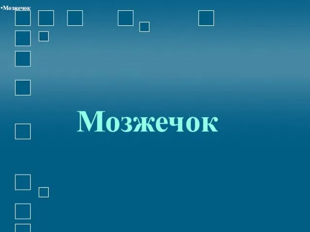 Мозжечок Мозжечок