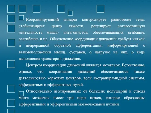 Координирующий аппарат контролирует равновесие тела, стабилизирует центр тяжести, регулирует согласованную деятельность