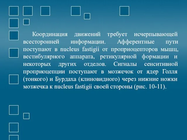 Координация движений требует исчерпывающей всесторонней информации. Афферентные пути поступают в nucleus