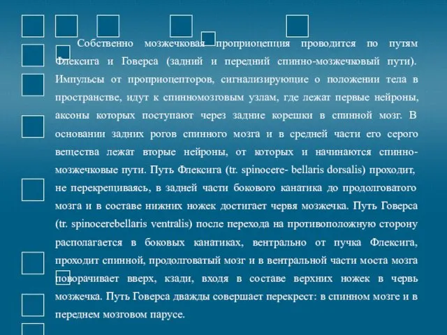 Собственно мозжечковая проприоцепция проводится по путям Флексига и Говерса (задний и