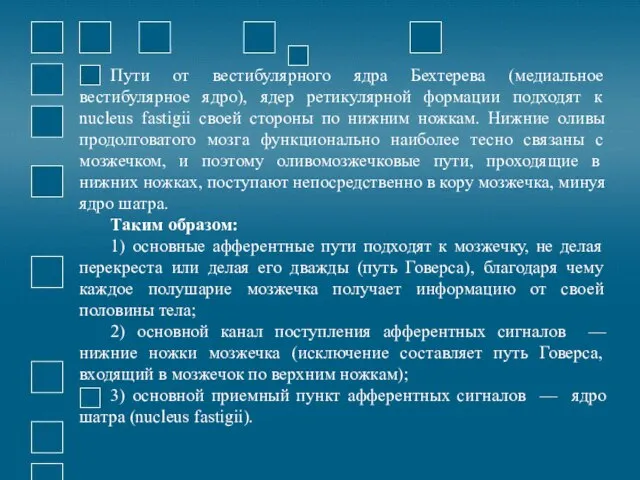 Пути от вестибулярного ядра Бехтерева (медиальное вестибулярное ядро), ядер ретикулярной формации