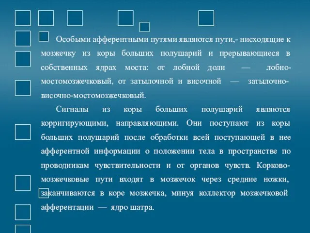 Особыми афферентными путями являются пути,- нисходящие к мозжечку из коры больших