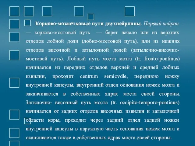 Корково-мозжечковые пути двухнейронны. Первый нейрон — корково-мостовой путь — берет начало