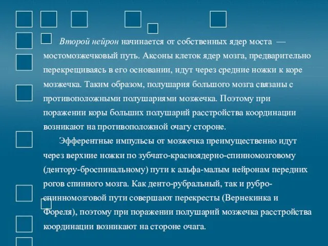 Второй нейрон начинается от собственных ядер моста — мостомозжечковый путь. Аксоны