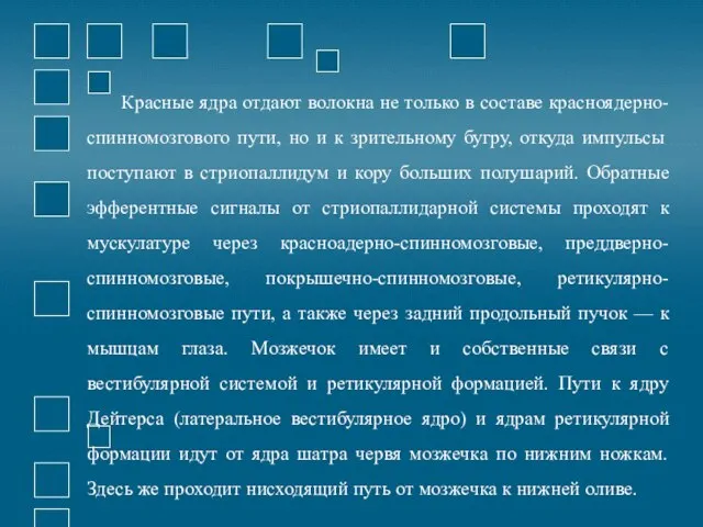 Красные ядра отдают волокна не только в составе красноядерно-спинномозгового пути, но